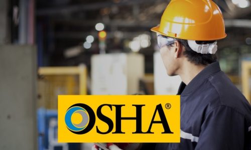 الصورة المصغرة للدورة